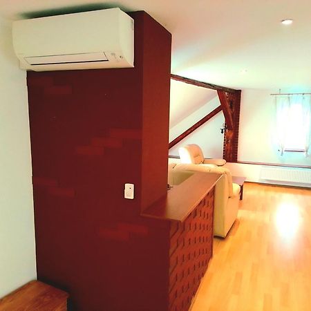Apartman Penelope Жатец Екстер'єр фото