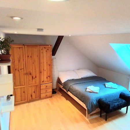 Apartman Penelope Жатец Екстер'єр фото